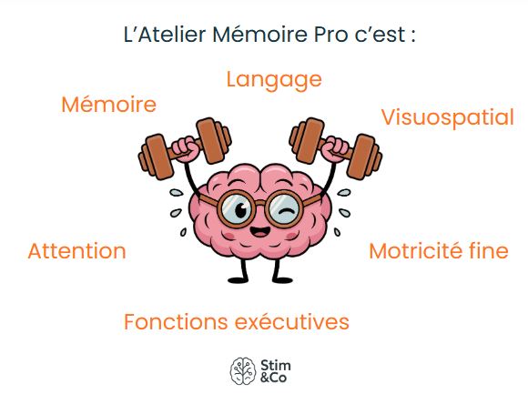 Atelier Mémoire Pro ✔️