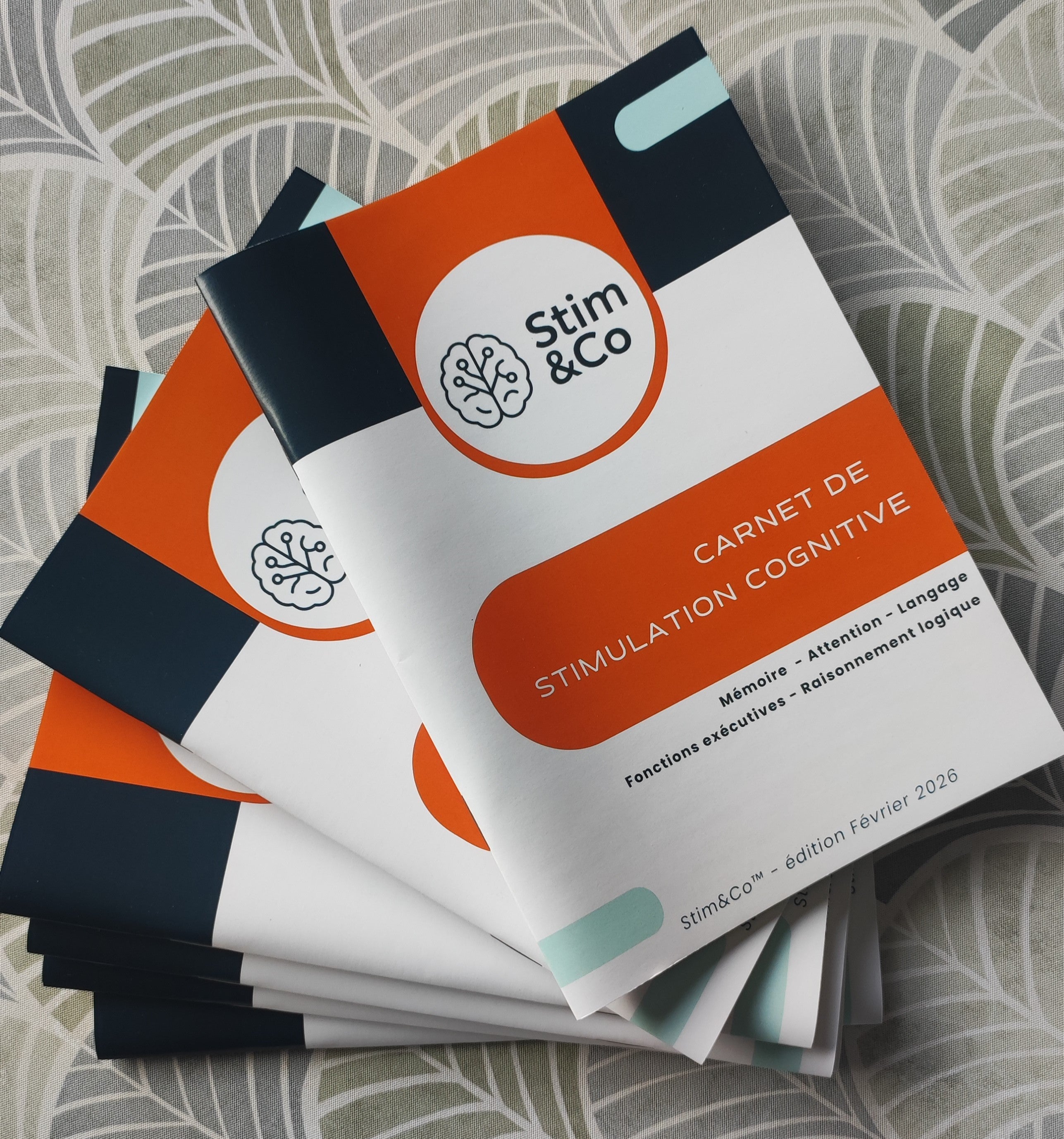 Lots Carnets de Stimulation cognitive (Pro)