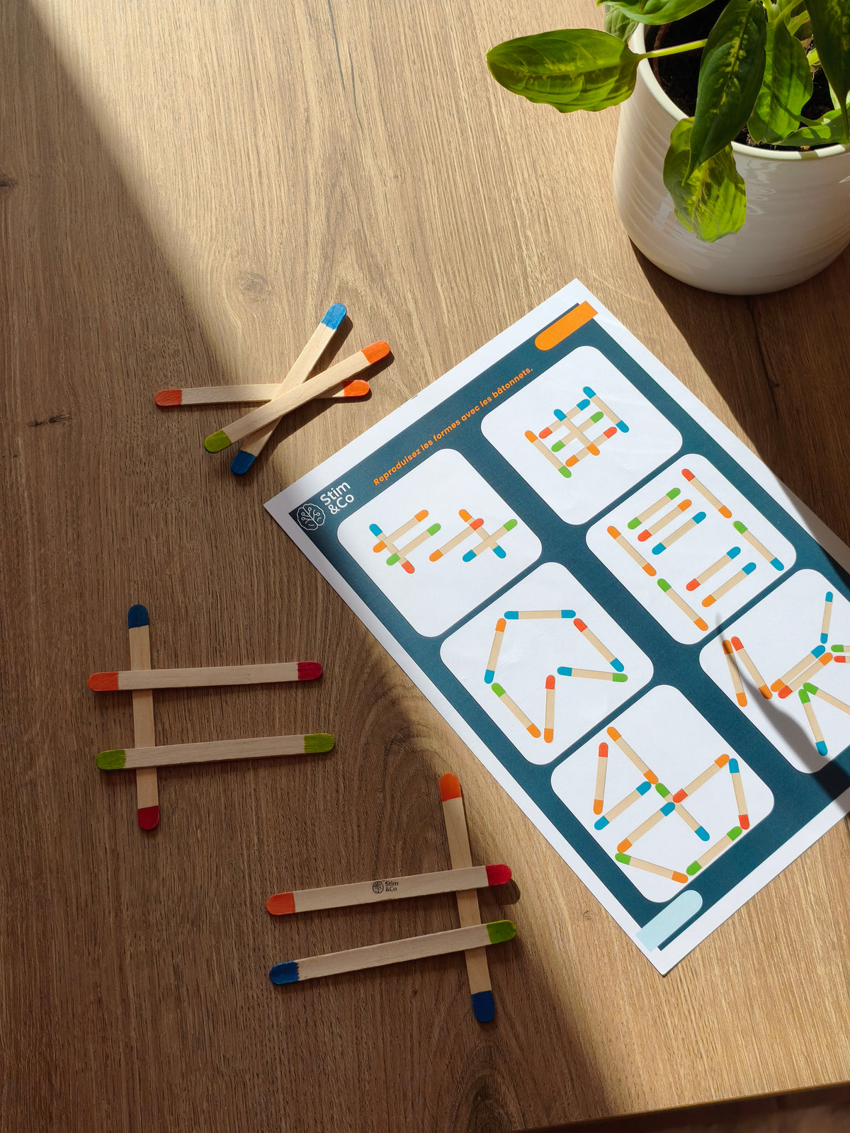 Box cognitive Découverte 🧠